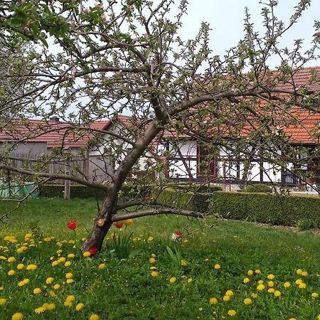 Pension Toepferhof Bad Berka Exterior foto